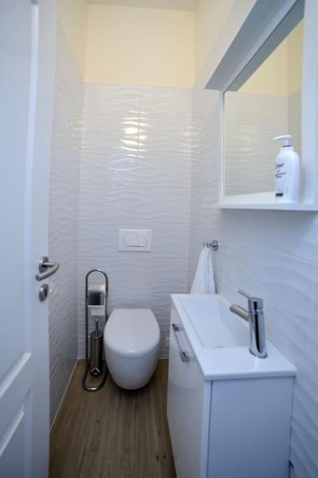 New Renovated Appartment Mauri 포레치 외부 사진